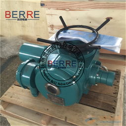 dzw10閥門電動執行器生產廠家