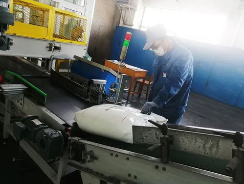 持續攻堅創效 塑料廠 c 位讓給創效 冠軍