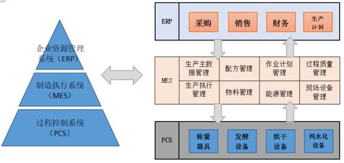 制藥行業MES系統集成開發與信息系統集成服務